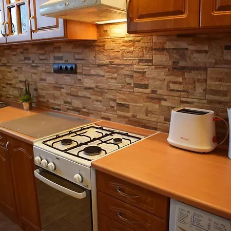 Apartment In Siofok/balaton 19722